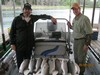 (05/06/2015) - Nice Striped Bass
